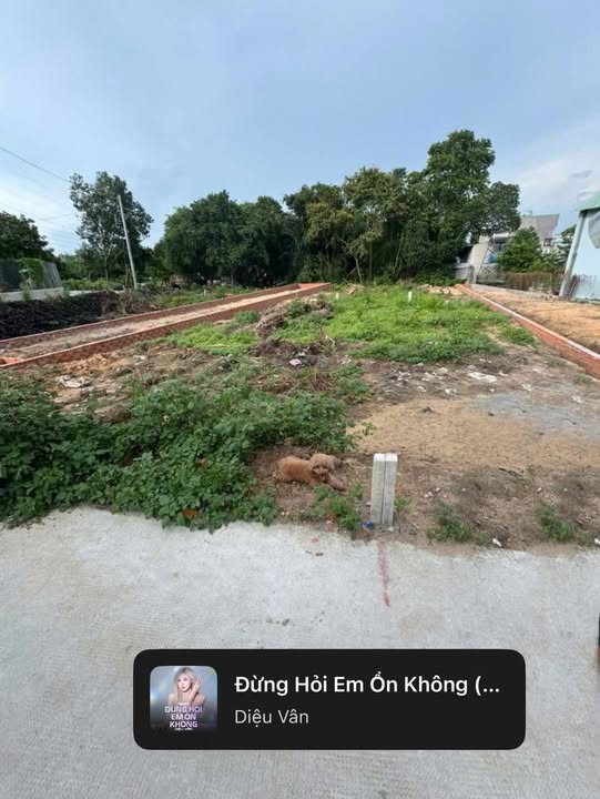 Đất nền Thái Hòa 141m² giá 1.58 tỷ - Đầu tư sinh lời ngay!