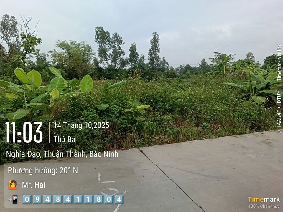 Đất nền Trạm Lộ - Bắc Ninh 317m² giá 6.34 tỷ - Mặt tiền rộng, vị trí đắc địa!