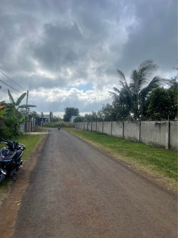 Đất liền kề phường Khánh Xuân 300m² giá 1.2 tỷ - Đầu tư lý tưởng cho nhà vườn!