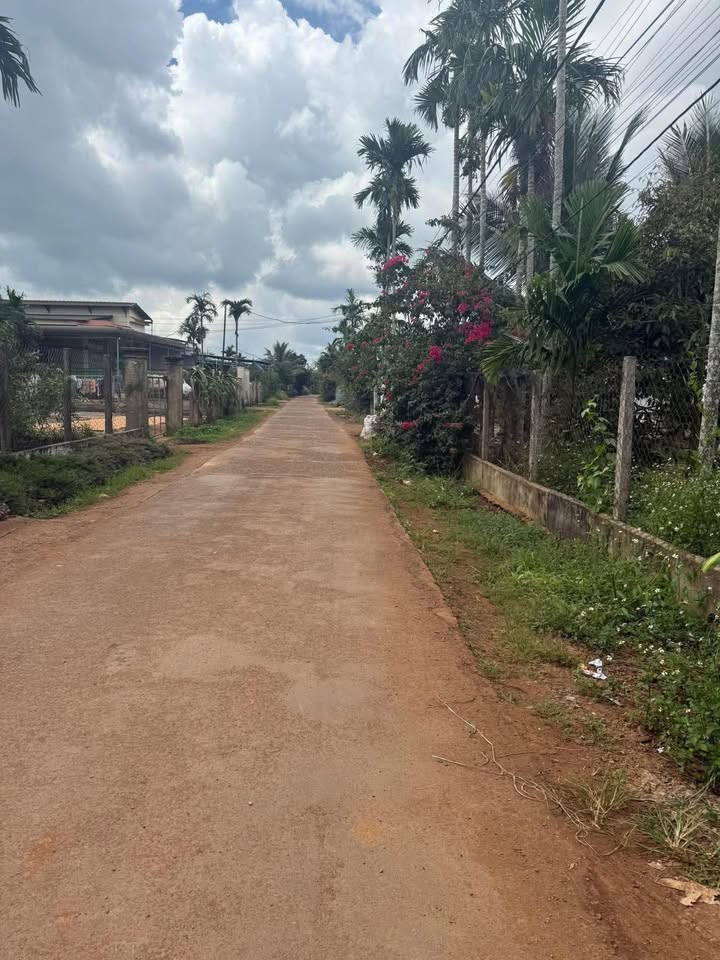 Đất nền Pơng Drang 310m² giá 3.1 tỷ - Lô đất đẹp, pháp lý rõ ràng!