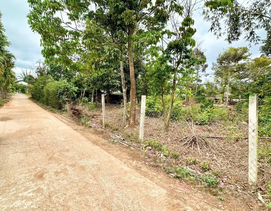 Đất nền Buôn Ma Thuột 205m² giá 1.8 tỷ - Cơ hội đầu tư hấp dẫn!