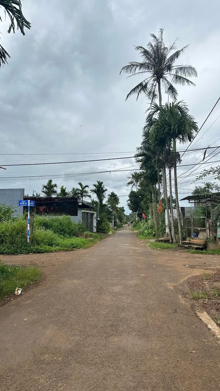 Đất góc 2 mặt tiền đường KB2, Tân An, 120m² giá 1.37 tỷ - Cơ hội đầu tư tuyệt vời!