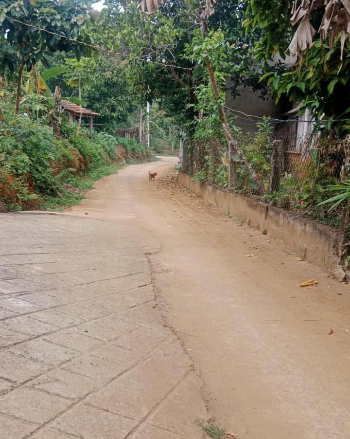 Đất thổ cư gần ngã tư Vạn Tường Bình Hải 150m² giá thỏa thuận - Cơ hội đầu tư hấp dẫn!