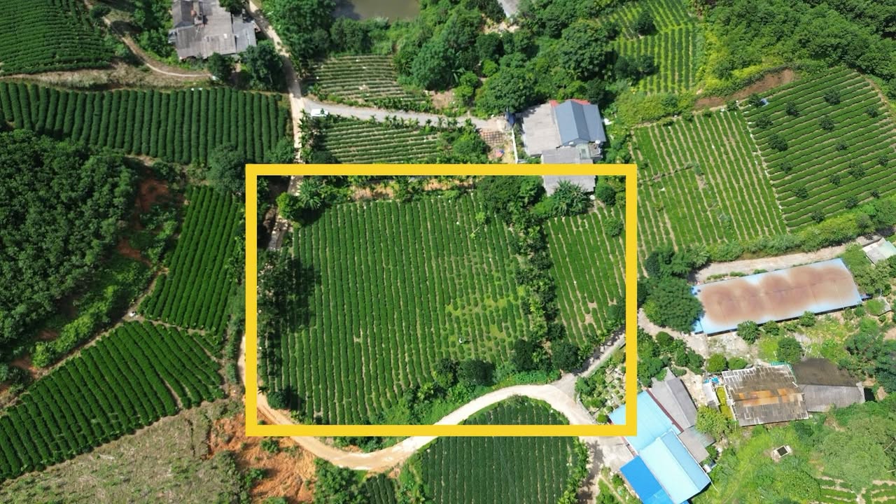 Đất thổ cư 3500m² Vô Tranh, Phú Lương - Cơ hội đầu tư tuyệt vời!