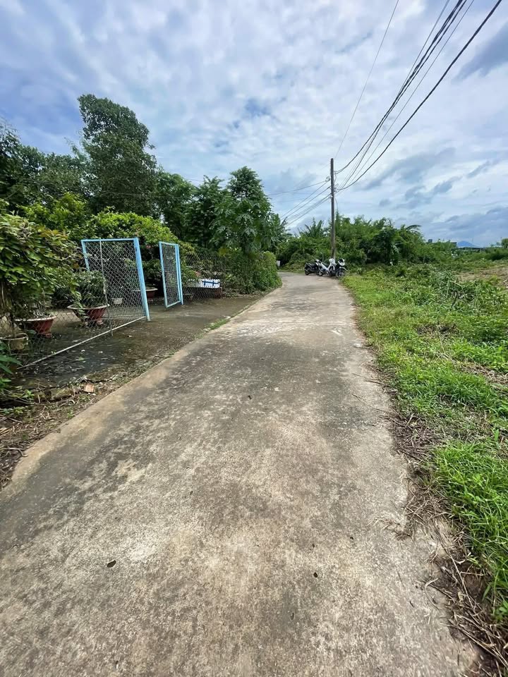 Đất nền Tân Phú, Đồng Nai 206m² giá 470 triệu - Sổ hồng chính chủ, đầy đủ pháp lý!