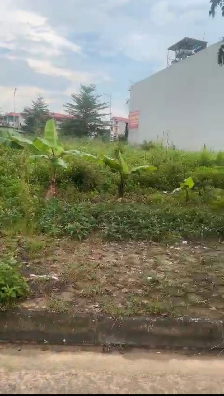 Đất nền Nghĩa Hòa, Lạng Giang 117m² giá chỉ 1xxx - Cơ hội không thể bỏ lỡ!