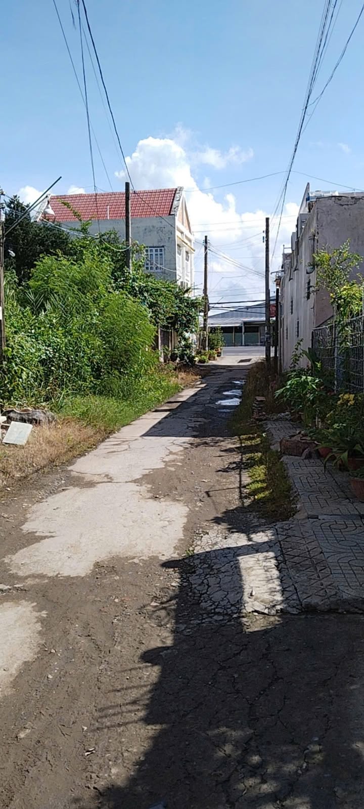 Đất nền mặt tiền xe hơi Phường 2 Cai Lậy 280m² giá 1.5 tỷ - Cơ hội đầu tư tuyệt vời!