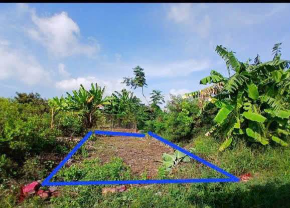 Đất nền 93m² tại Phước Thắng, Vũng Tàu - Sổ đỏ chính chủ, giá chỉ 1.25 tỷ!