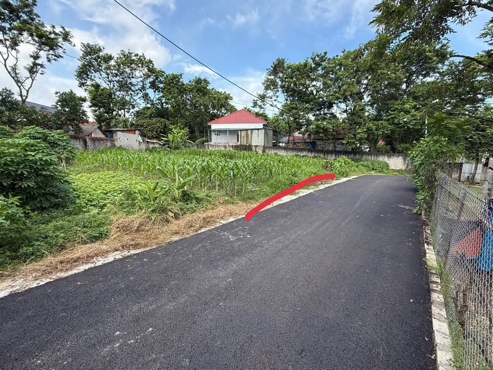 Đất nền Đồng Tĩnh Tam Dương 125m² giá chỉ 750 triệu - Vị trí siêu đẹp gần đường 36!