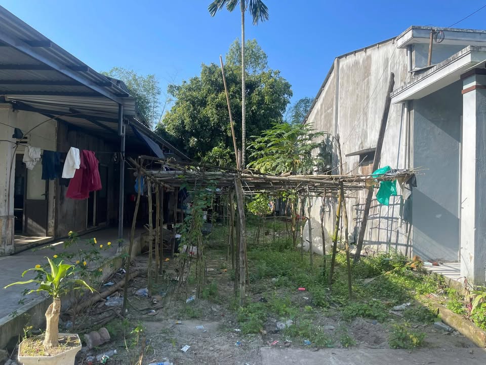 Đất nền Tam Xuân 1, Núi Thành 185m² giá 450 triệu - Gần chợ 3 Tháp!