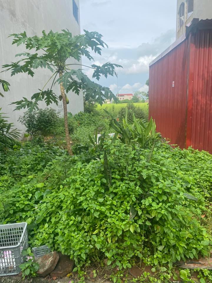 Đất nền đường 36, Quế Võ 110m² giá 4 tỷ - Cơ hội đầu tư tuyệt vời!