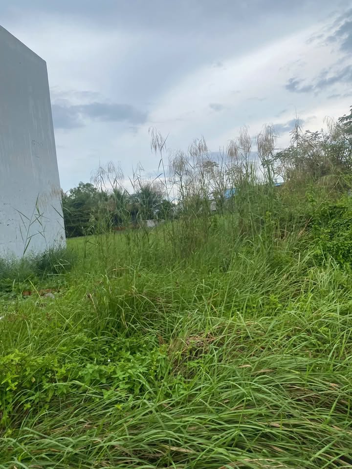 Đất nền Mỹ Lộc - Cần Giuộc 125m² giá 550 triệu - Sổ đỏ chính chủ!