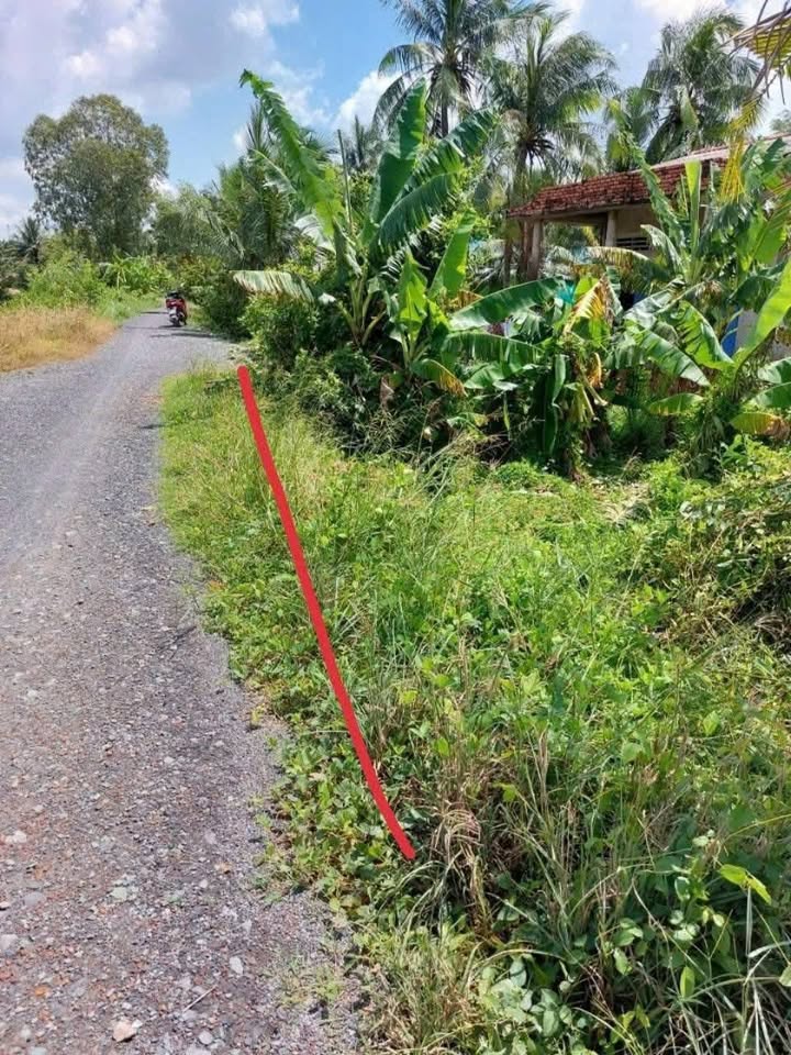 Đất thổ cư Phước Tân Hưng 160m² giá chỉ 300 triệu - Cơ hội đầu tư tuyệt vời!