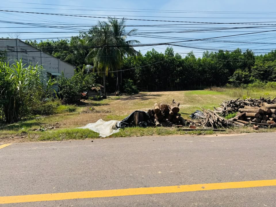 Đất thổ cư 456m² mặt tiền Hương Lộ 11B, Châu Thành, Tây Ninh - Chờ bạn đầu tư!