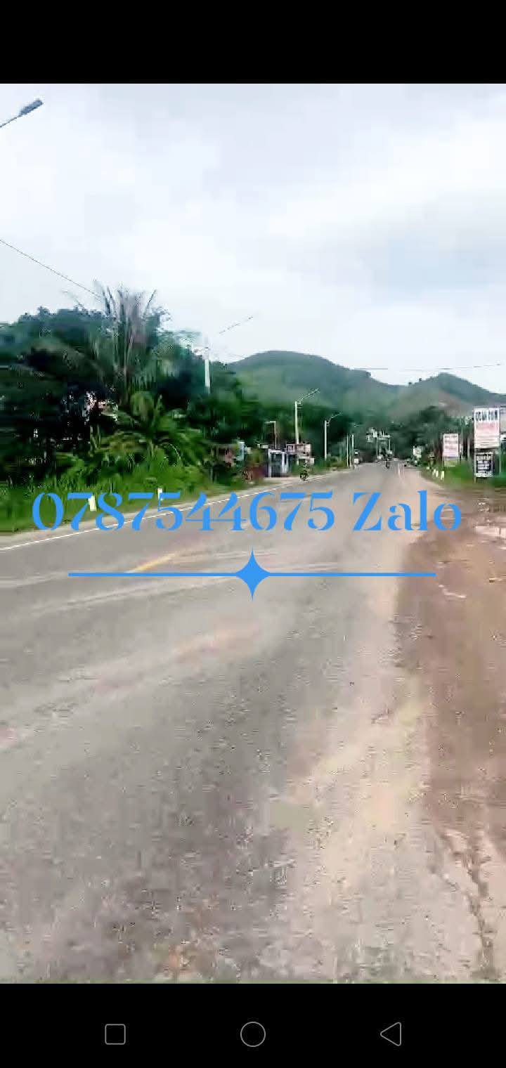 Đất thổ cư mặt tiền Quốc lộ 19, xã Bình Tường, giá chỉ 1 tỷ - Cơ hội đầu tư hấp dẫn!