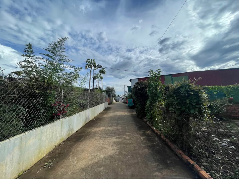 Đất thổ cư Hiệp Thạnh Đức Trọng 212m² giá 1.5 tỷ - Đường ô tô né nhau, gần tiện ích!