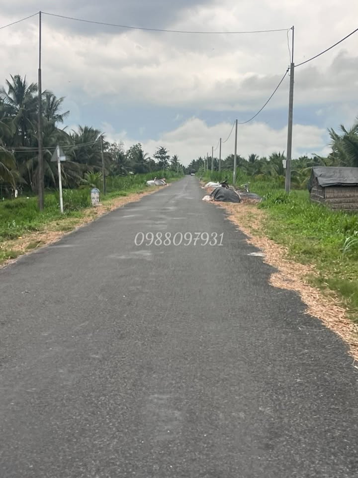 Đất thổ cư 192m² tại Trung Ngãi, Vũng Liêm - Mặt tiền đường nhựa 907 chỉ 500 triệu!