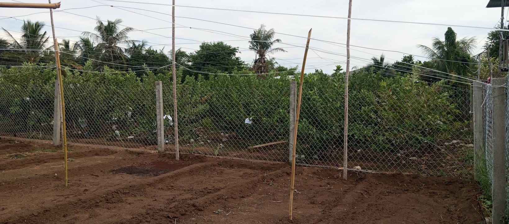 Đất nền Tấn Lộc 190m² giá 400 triệu - Sổ đỏ chính chủ, tiện lợi giao thông!