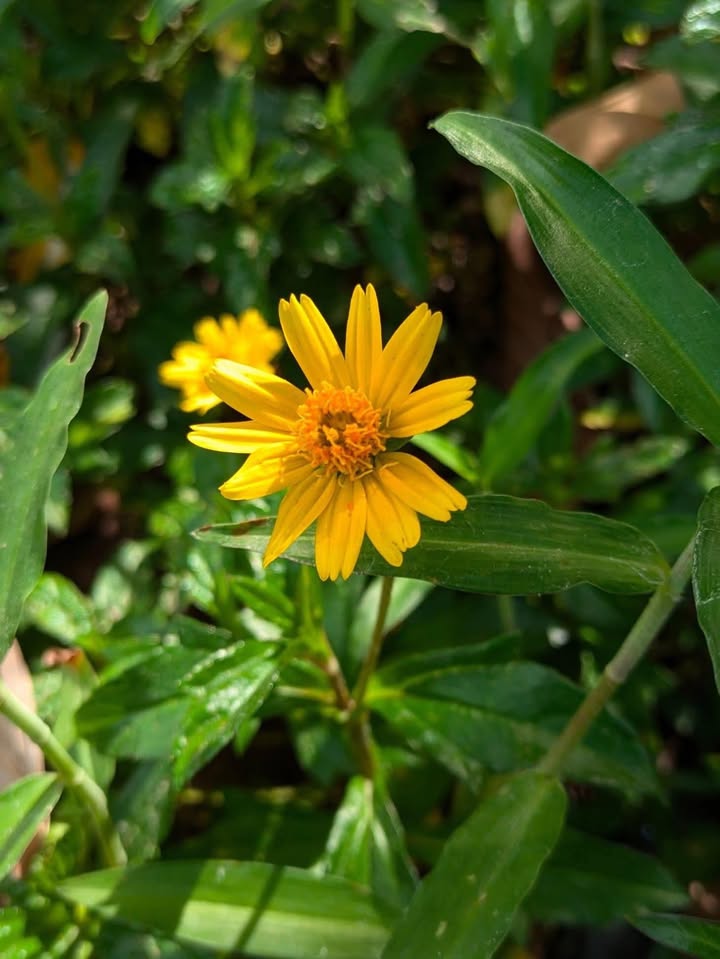 Đất nền Vạn Xuân, Phổ Yên 112m² giá 1.8 tỷ - Tiềm năng sinh lời cao!