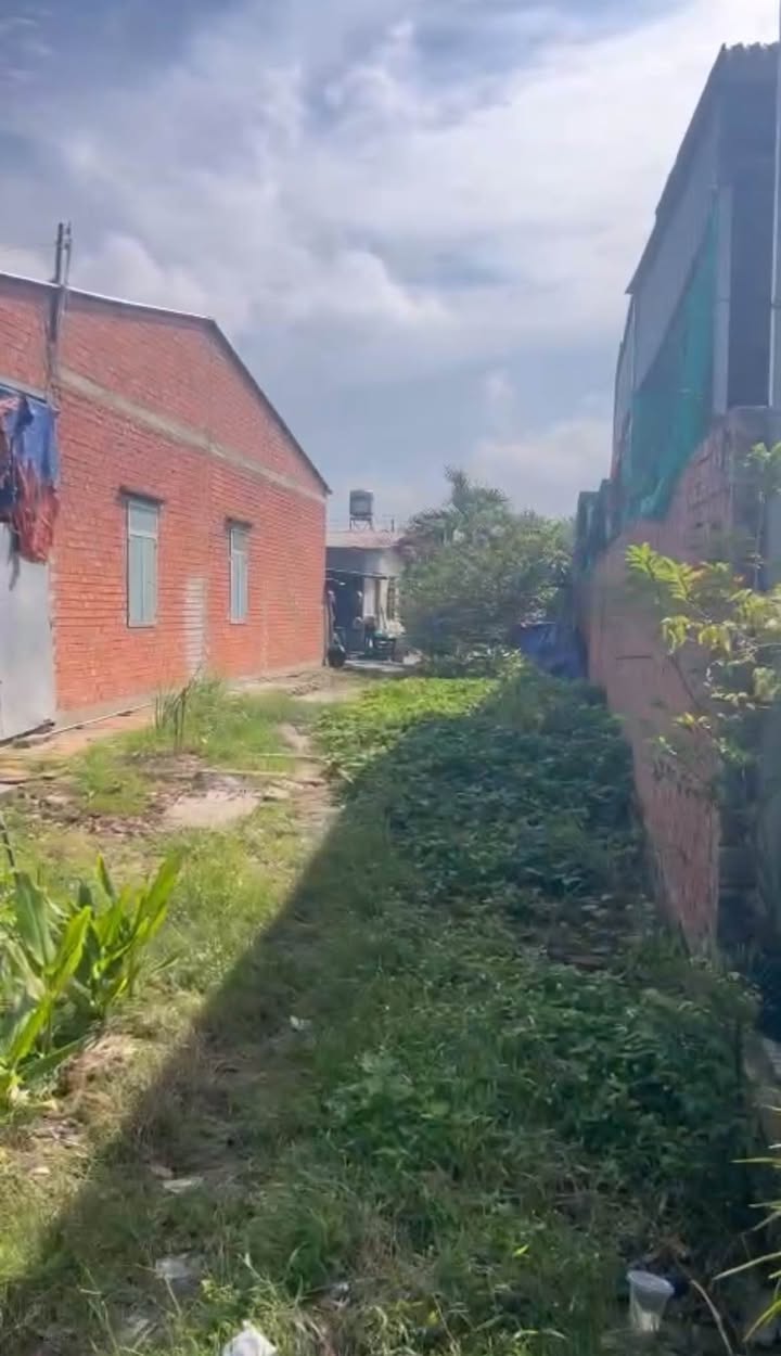 Đất nền Hẽm 10 Phạm Hùng, Hòa Thành 250m² - Sổ hồng chính chủ, giá tốt!