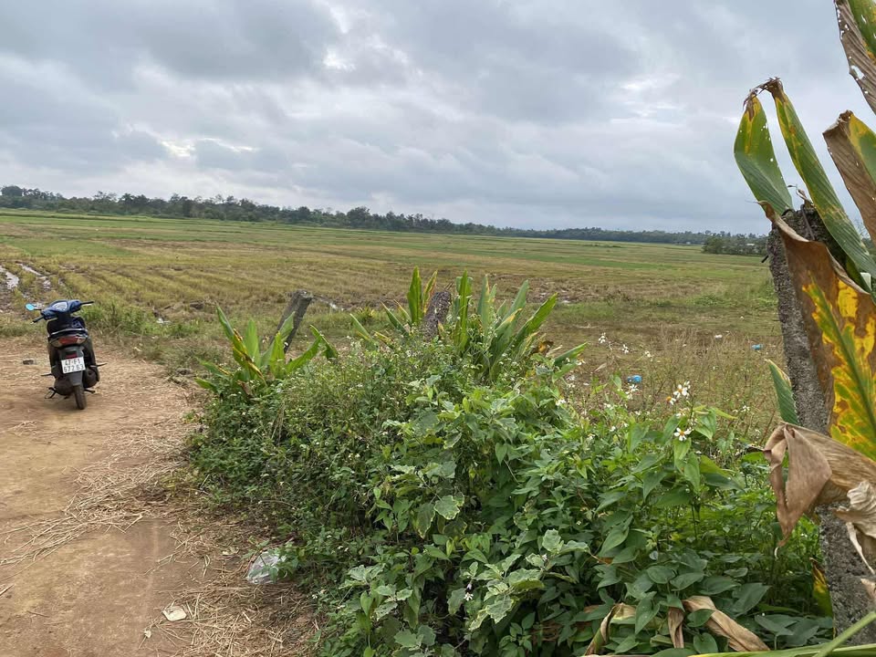 Đất thổ cư Ea Knuếc, Krông Pắc 500m² giá 1.1 tỷ - Nằm trong khu dân cư đông đúc!