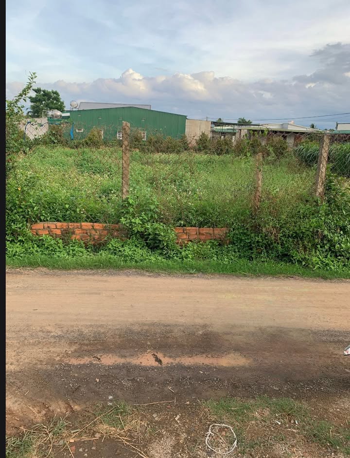 Đất nền Tân Tiến, Krông Pắc 126m² giá 560 triệu - Cơ hội đầu tư không thể bỏ qua!