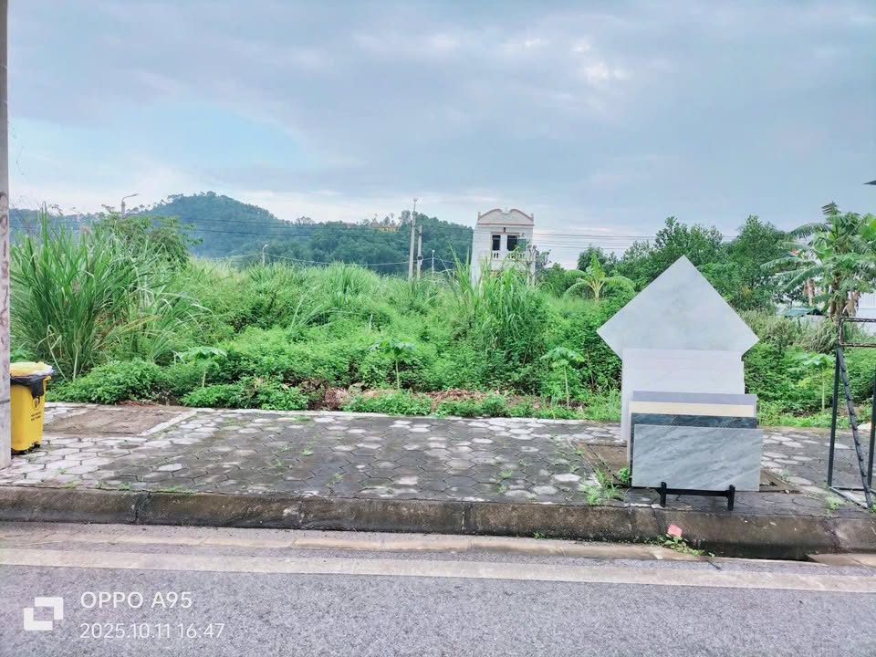 Đất nền Tân Thanh, Thanh Liêm 91.3m² giá thỏa thuận - Cơ hội đầu tư tuyệt vời!