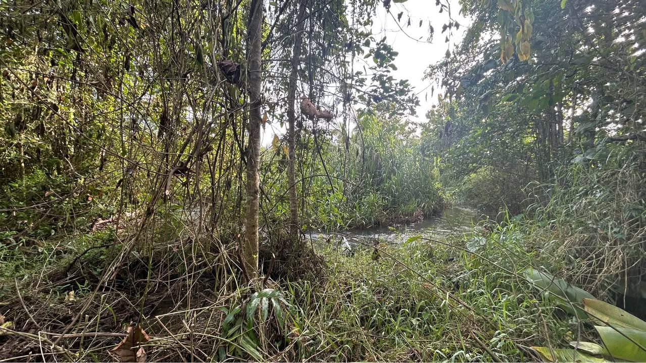 Đất nền xã Phú Vinh 1.080m² giá 890 triệu - Phong thủy mát mẻ bên suối!