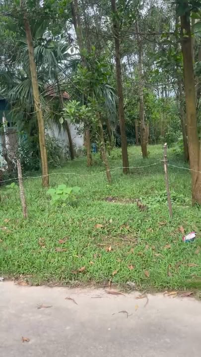 Đất liền kề Thọ Bình, Triệu Sơn 305m² giá chỉ từ 300 triệu - Chính chủ bán gấp!