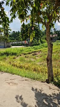 Đất nền Điện Tiến, Điện Bàn 100m² giá chỉ 900 triệu - Cơ hội đầu tư hấp dẫn!