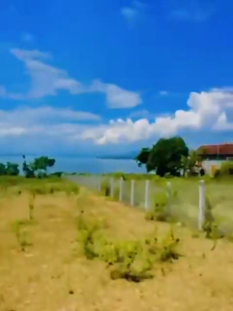 Đất nền Đức Bình Đông - Sông Hinh 1327m² - Giá thỏa thuận hấp dẫn!