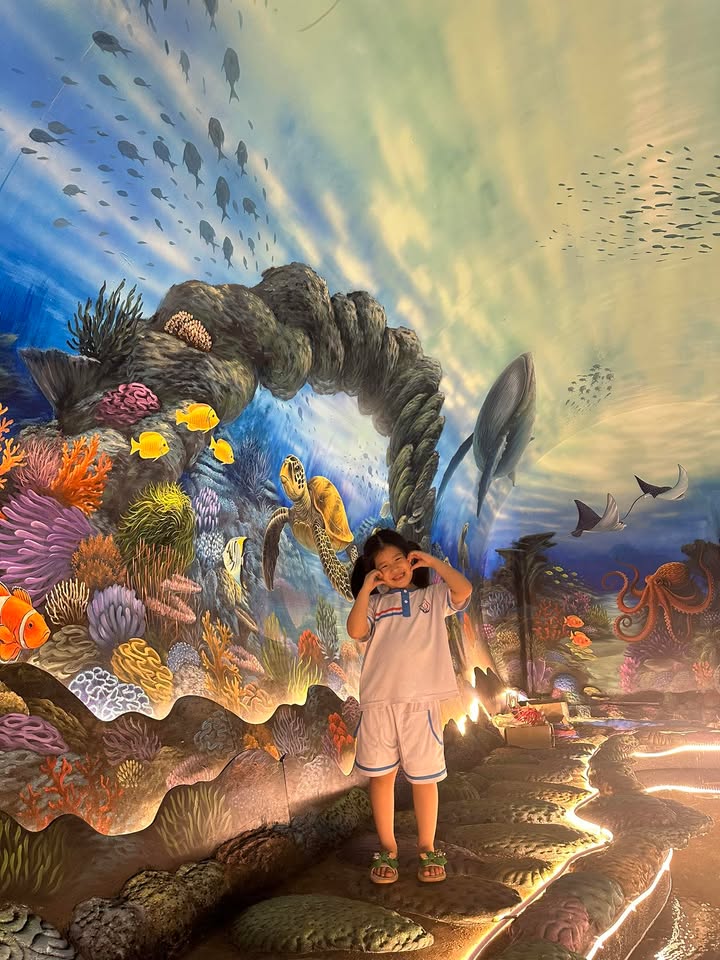 Đất nền 500m² đường Mai Thị Lựu - Giá 6 tỷ, đầu tư sinh lời!