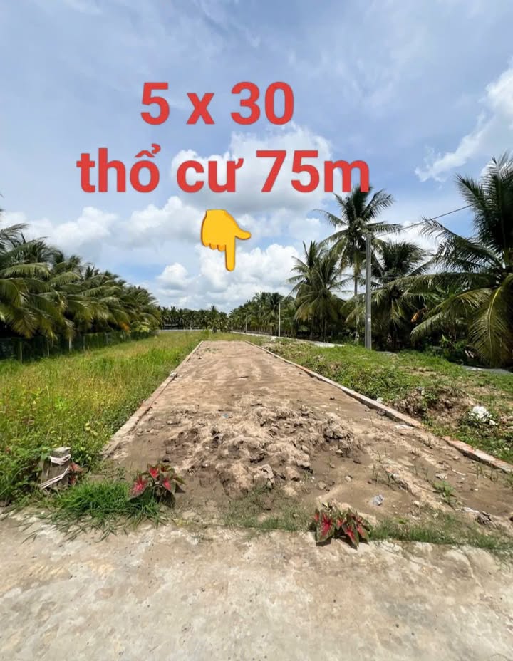 Mặt tiền Bà Tư Gạo, Gò Công 150m² giá 1.03 tỷ - Vị trí đắc địa, thương lượng ngay!