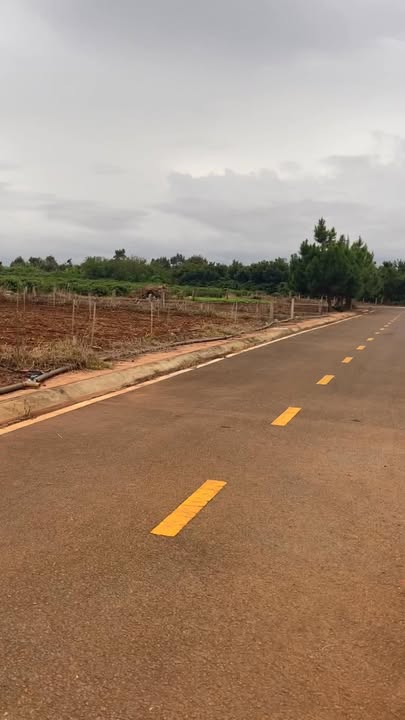 Đất thổ cư Liên Hiệp Đức Trọng 115m² giá 800 triệu - Sổ hồng chính chủ!