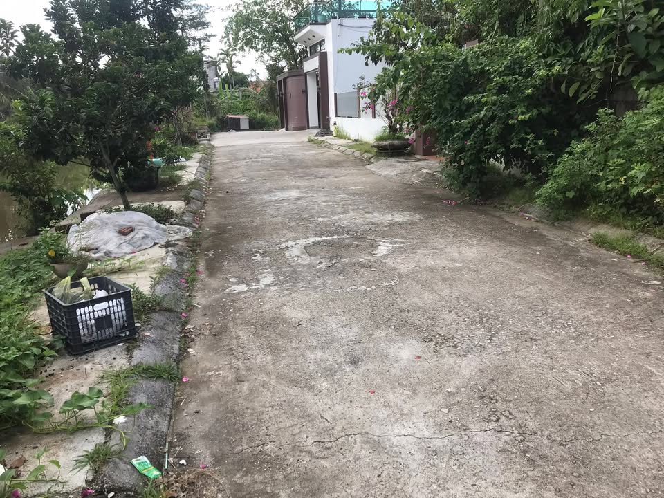 Đất nền Cẩm Xuân - Núi Đối - Kiến Thụy 216m² giá chỉ 5.184 tỷ - Cơ hội đầu tư tuyệt vời!