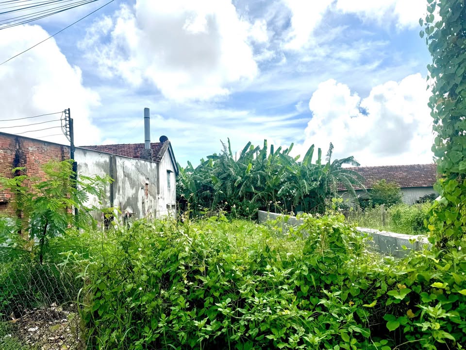 Đất mặt tiền Phú Ân, Tuy Hòa 126m² giá 1.7 tỷ - Đầu tư sinh lời ngay!