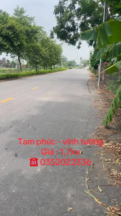 Đất thổ cư Tam Phúc - Vĩnh Tường 88m² giá 1.7 tỷ - Đường rộng thông thoáng!
