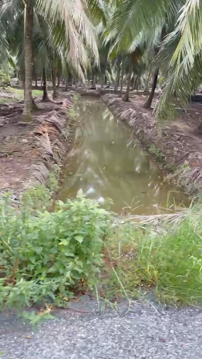 Đất nền mặt tiền đường DH07, xã Lộc Thuận, 940m² chỉ 1 tỷ - Cơ hội đầu tư tuyệt vời!