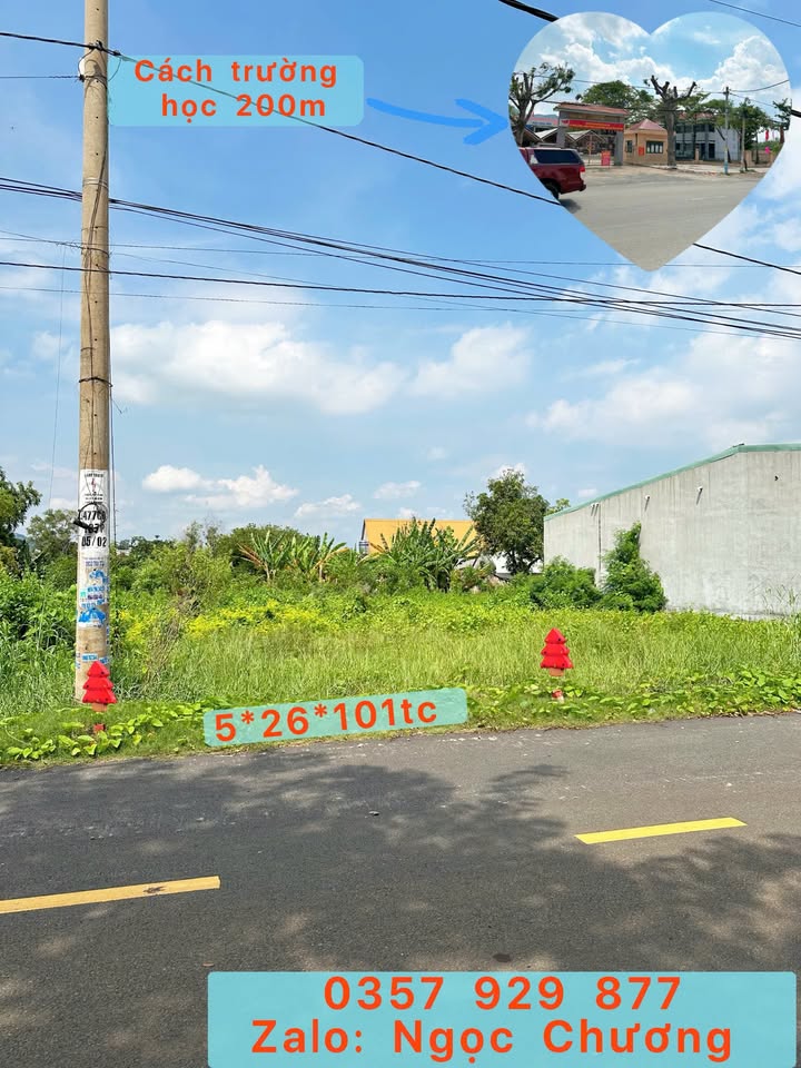 Đất nền Khu Bàn Cờ Châu Pha, Phú Mỹ 1300m² - Sổ riêng, xây dựng ngay chỉ 1.1 tỷ!