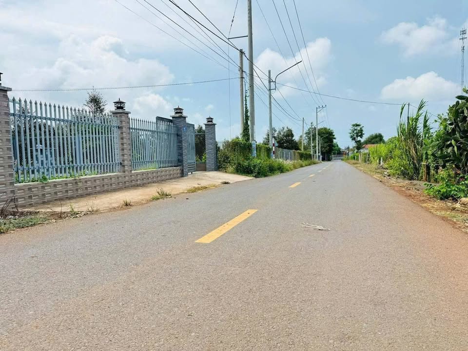 Đất nền mặt tiền Lê Thị Hồng Gấm, Đất Đỏ 120m² chỉ 1.15 tỷ - Cơ hội vàng không thể bỏ lỡ!