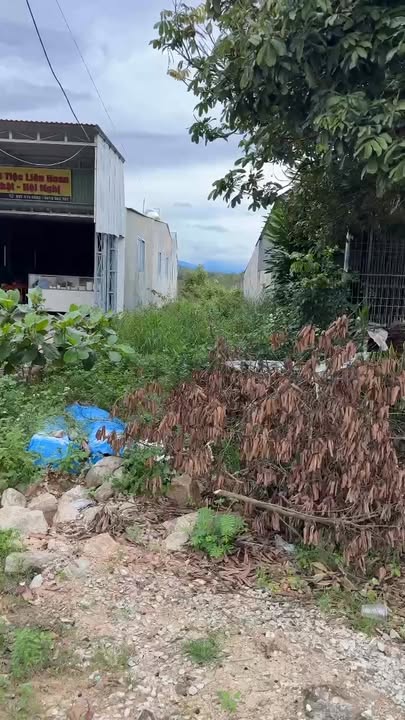 Đất thổ cư Tân Lập A, Đắk Hà 270m² giá 1 tỷ - Vị trí đắc địa, đầy đủ tiện ích!