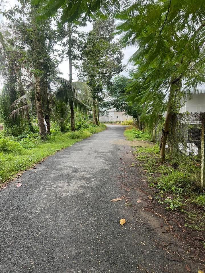 Đất mặt tiền đường nhựa Ấp Cây Hẹ, xã Tiểu Cần 360m² giá 700 triệu - Tiềm năng sinh lời cao!