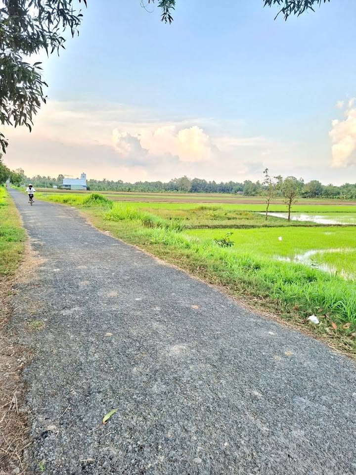 Đất công mặt tiền nhựa Hòa Lợi 3596m² giá chỉ 550 triệu - Cơ hội đầu tư hấp dẫn!