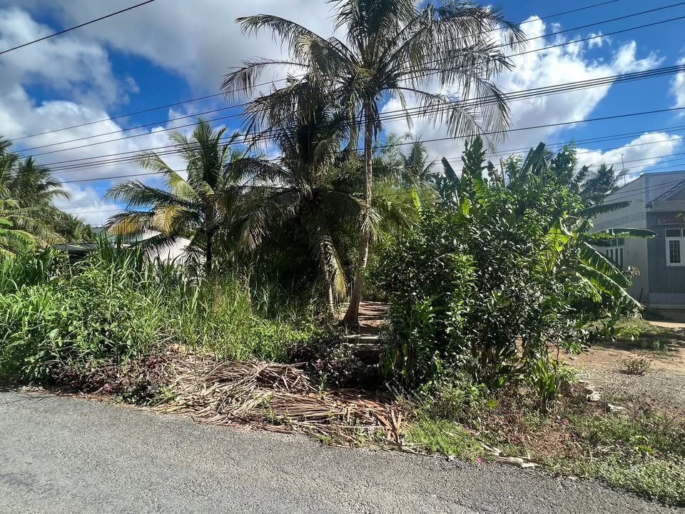 Đất nền 1.110m² tại Tân Hòa, Tiểu Cần - Giá tốt đầu tư!