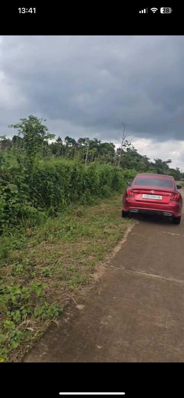 Đất nền mặt tiền bê tông 24m Trảng Dài Biên Hòa - Chỉ 380 triệu