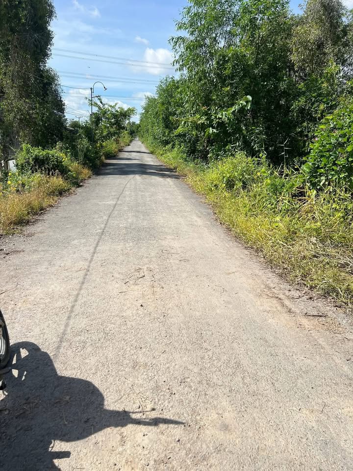 Đất ruộng 86 công tại xã Thạnh Hòa, huyện Tân Phước - Giá 21.5 tỷ, đầu tư sinh lời ngay!