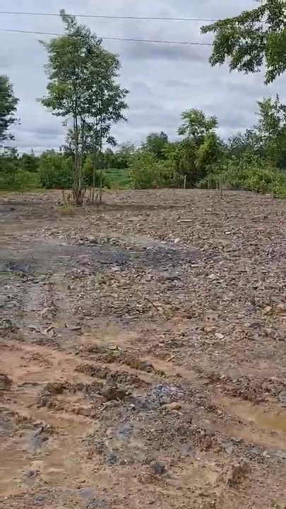 Đất thổ cư Buôn Đôn 1100m² giá chỉ 4.95 tỷ - Cơ hội đầu tư tuyệt vời!