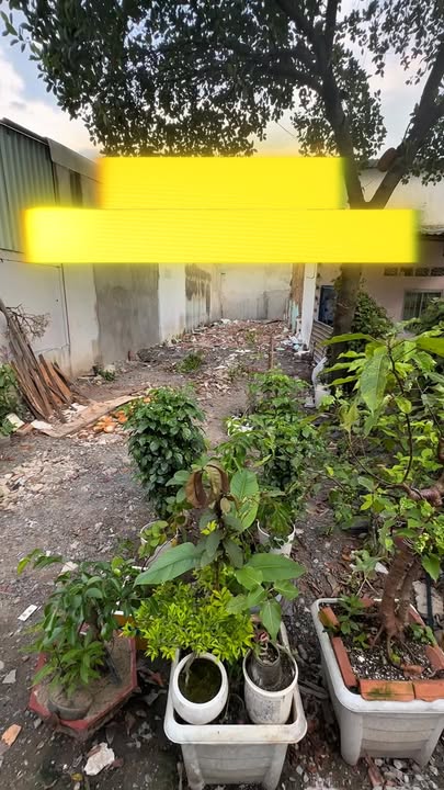 Đất nền Dĩ An 106m² giá 3.19 tỷ - Tiềm năng sinh lời cao!