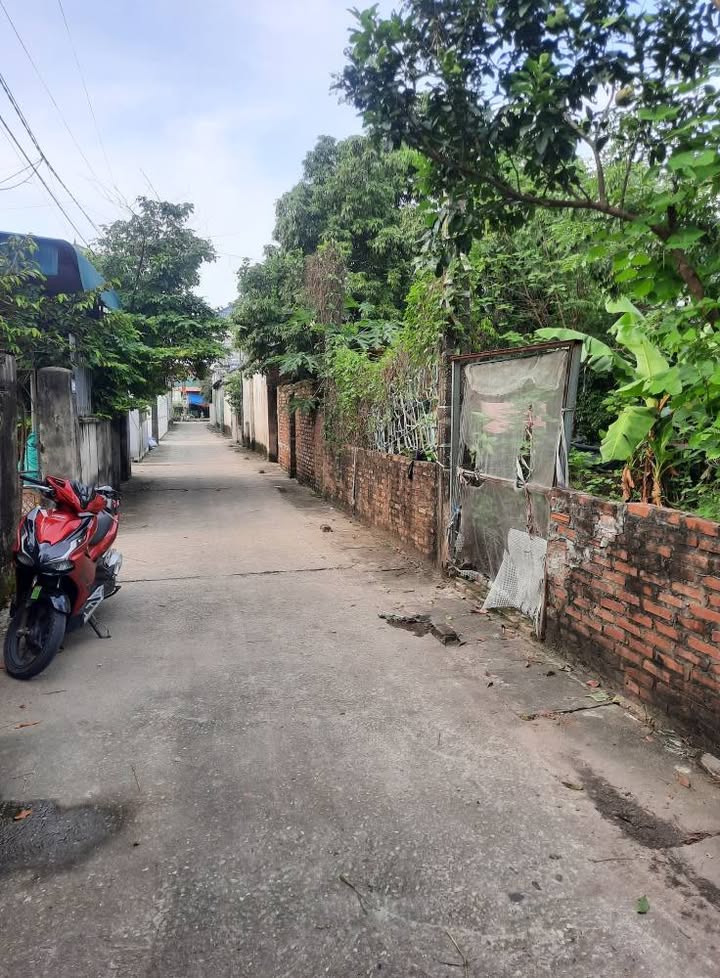 Đất nền Yên Đồng Yên Lạc 125m² giá 2.1 tỷ - Cơ hội đầu tư hiếm có!