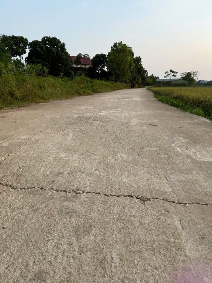 Đất nền tại Danh Thắng, Hiệp Hòa, Bắc Giang 175m² - Giá tốt, vị trí đắc địa!